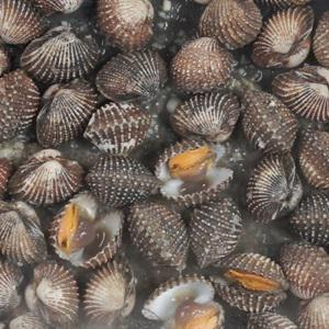 Cách làm sò huyết sốt bơ đậu phộng