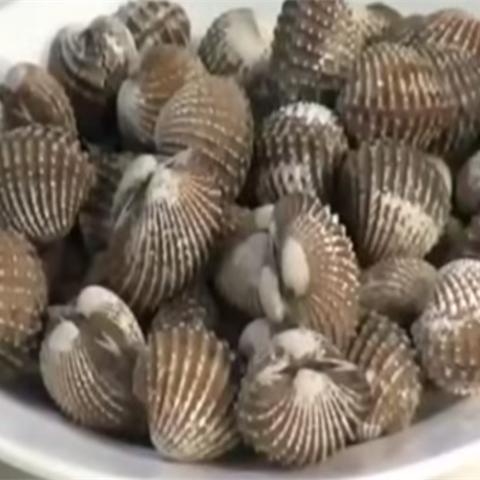 Cách làm sò huyết xào me