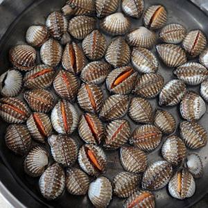 Cách làm sò huyết xào rau răm