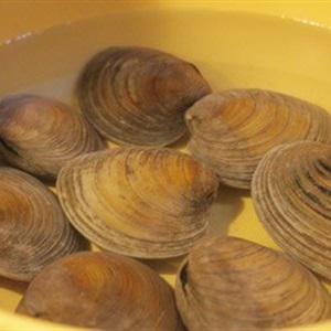 Cách làm spaghetti nấu nghêu