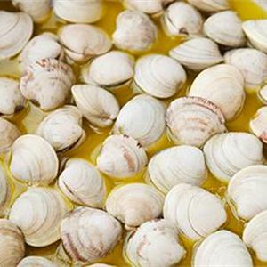 Cách làm spaghetti nấu nghêu