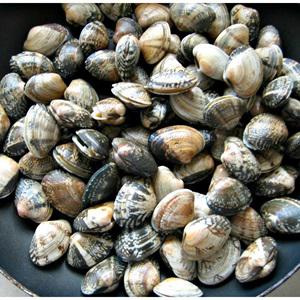 Cách làm spaghetti sốt nghêu