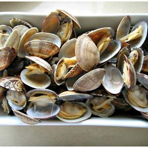 Cách làm spaghetti sốt nghêu