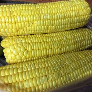 Cách làm sữa bắp non