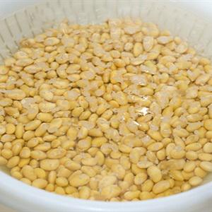 Cách làm sữa chua đậu nành