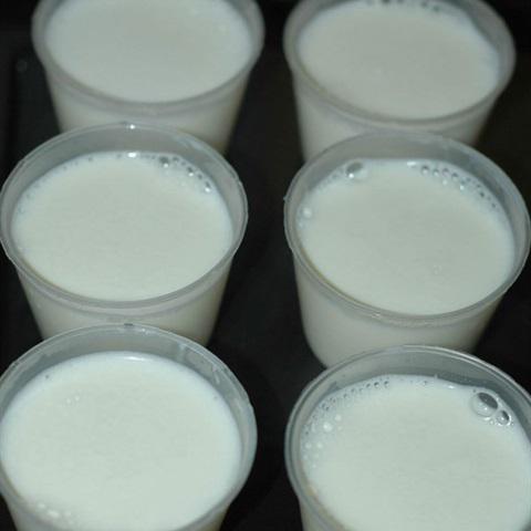 Cách làm sữa chua dẻo cacao