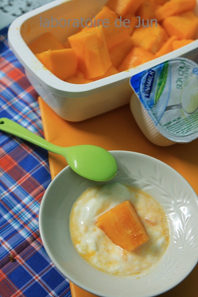 Sữa chua đu đủ