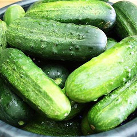 Cách làm sữa chua lắc