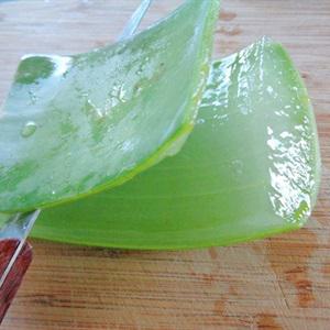 Cách làm sữa chua nha đam