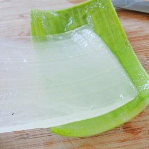 Cách làm sữa chua nha đam