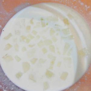 Cách làm sữa chua nha đam