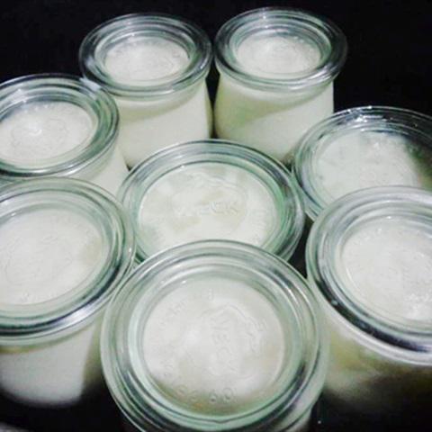 Cách làm sữa chua nha đam
