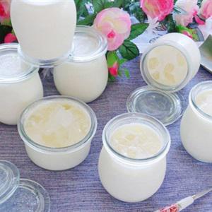 Cách làm sữa chua nha đam
