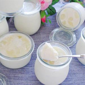 Cách làm sữa chua nha đam