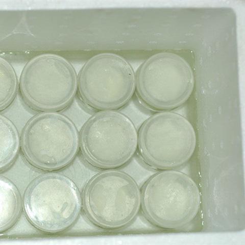 Cách làm sữa chua trà xanh