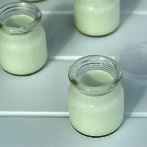 Cách làm sữa chua trà xanh