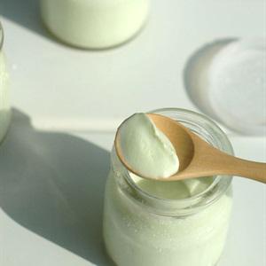 Cách làm sữa chua trà xanh