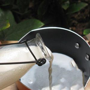 Cách làm sữa chua vải