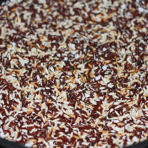 Cách làm sữa gạo lứt