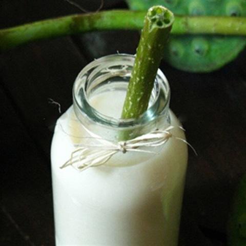 Cách làm sữa hạt sen
