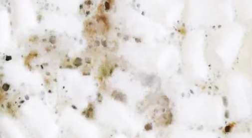 Sườn heo rim khoai môn thơm bùi, đậm đà ngon cơm