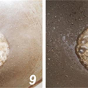 Cách làm sườn rim chua ngọt