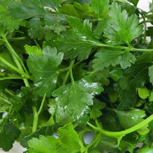 Cách làm súp dưa leo