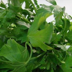 Cách làm súp gà kiểu mới