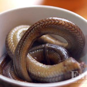 Cách làm súp lươn