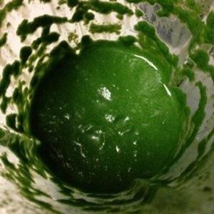 Cách làm súp rau bina