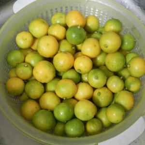 Cách làm tắc xí muội