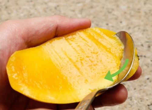 Tan chảy với công thức làm cơm gấu vừa dễ thương, vừa ngon miệng, nhìn thôi đã thèm