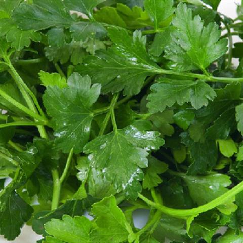 Cách làm tàu hũ ky cuộn rau chiên giòn