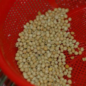 Cách làm tàu hũ thập cẩm