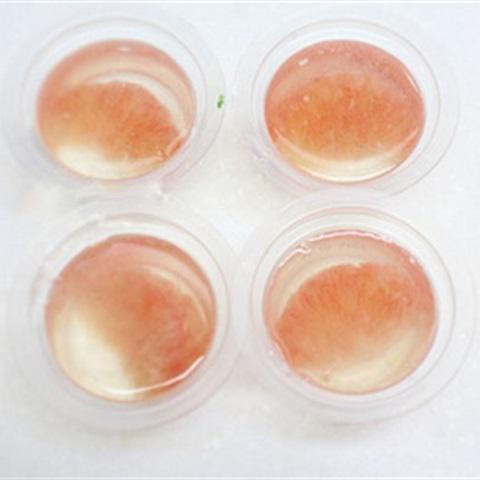 Cách làm thạch bưởi đào