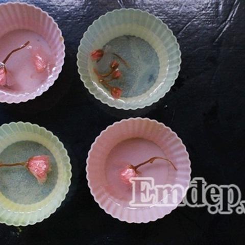 Cách làm thạch dâu tây Nhật Bản