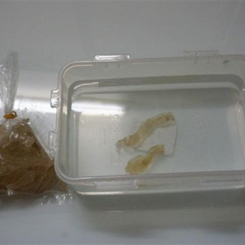 Cách làm thạch lá găng tươi