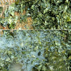 Cách làm thạch lá găng tươi