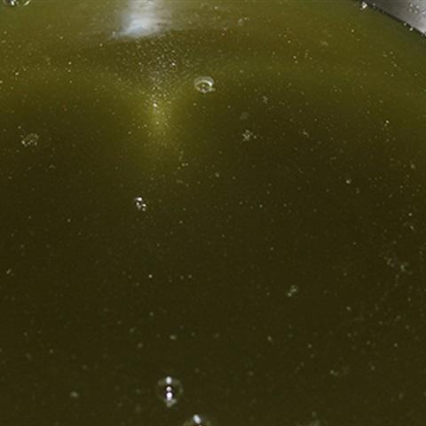 Cách làm thạch lá găng