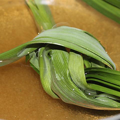 Cách làm thạch lá găng