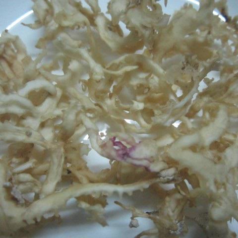 Cách làm thạch rau câu chân vịt