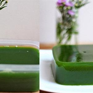 Cách làm thạch trà xanh