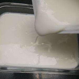 Cách làm thạch xoài sữa chua