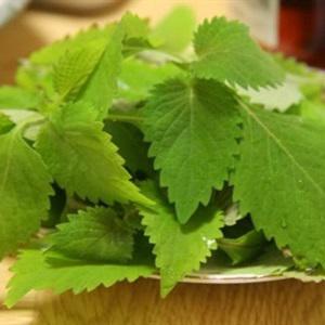 Cách làm thịt ba chỉ cuộn giá