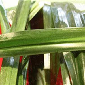 Cách làm thịt ba chỉ cuộn lá dứa