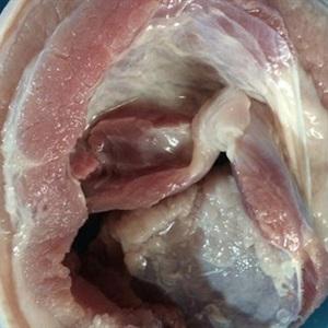 Cách làm thịt ba rọi áp chảo