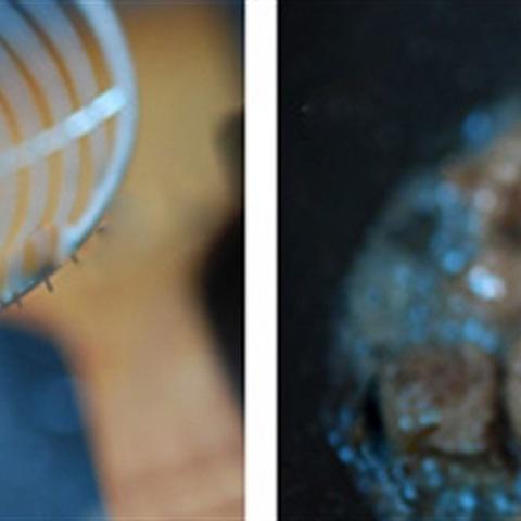 Cách làm thịt bò chiên cay