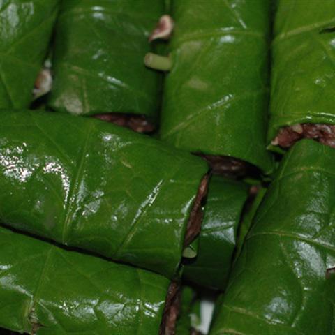 Cách làm thịt bò cuốn lá lốt