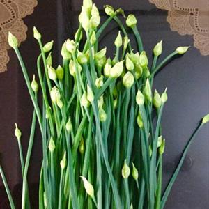 Cách làm thịt bò xào bông hẹ