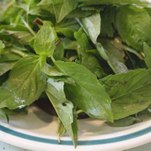 Cách làm thịt bò xào húng quế